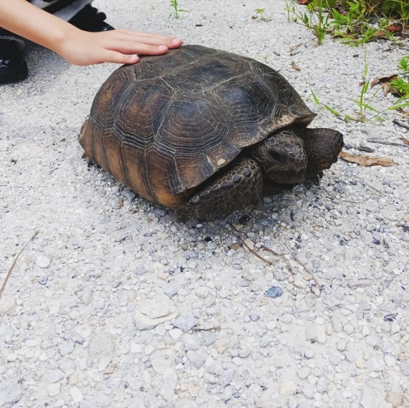 Meet your Posher, Ally - Picture 11 of 13